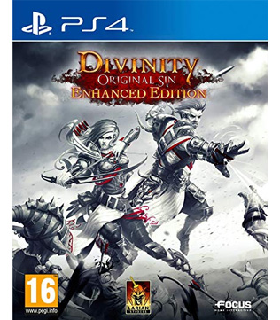 Divinity Original Sin PS4