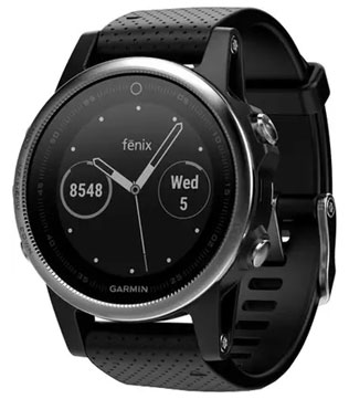 Garmin Fenix 5S Sapphire Multisport Watch