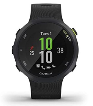 Garmin Forerunner 45 Running Smart Watch