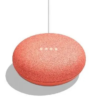 Google Home Mini (Coral)