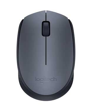 Logitech M170 Grey And Black Wireless Mouse