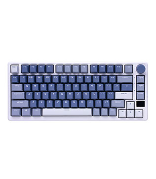 ROYAL KLUDGE RK M75 75% Wired Gaming Keyboard
