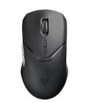 Rapoo VT9 Pro Wireless Gaming Mouse