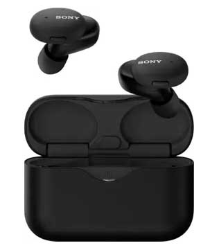 Sony WF-H800 True Wireless Earbuds